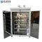 LY-6180 Grey Stainless Steel Hot Air And Electric Drying Oven 220V/380V