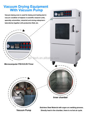 Liyi 20L, 50L, 90L, 210L, and 430L Programmable Lab Use Vacuum Oven Vacuum Drying Oven With Vacuum Pump Price Manufacturer