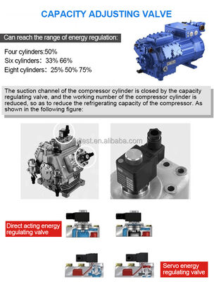 Manufacture Large Capacity Environmental Walk in Climate Chamber With Humidity Control Temperature Test Room