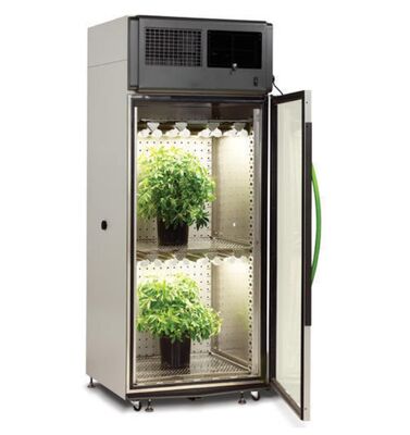 LIYI Price of 2-Side 3-Side Environmental Artificial Climate Testing Illumination Plant Growth Incubator Chamber for Sale