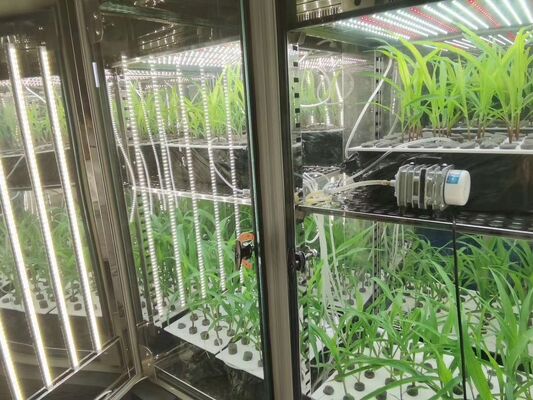 LIYI Price of 2-Side 3-Side Environmental Artificial Climate Testing Illumination Plant Growth Incubator Chamber for Sale